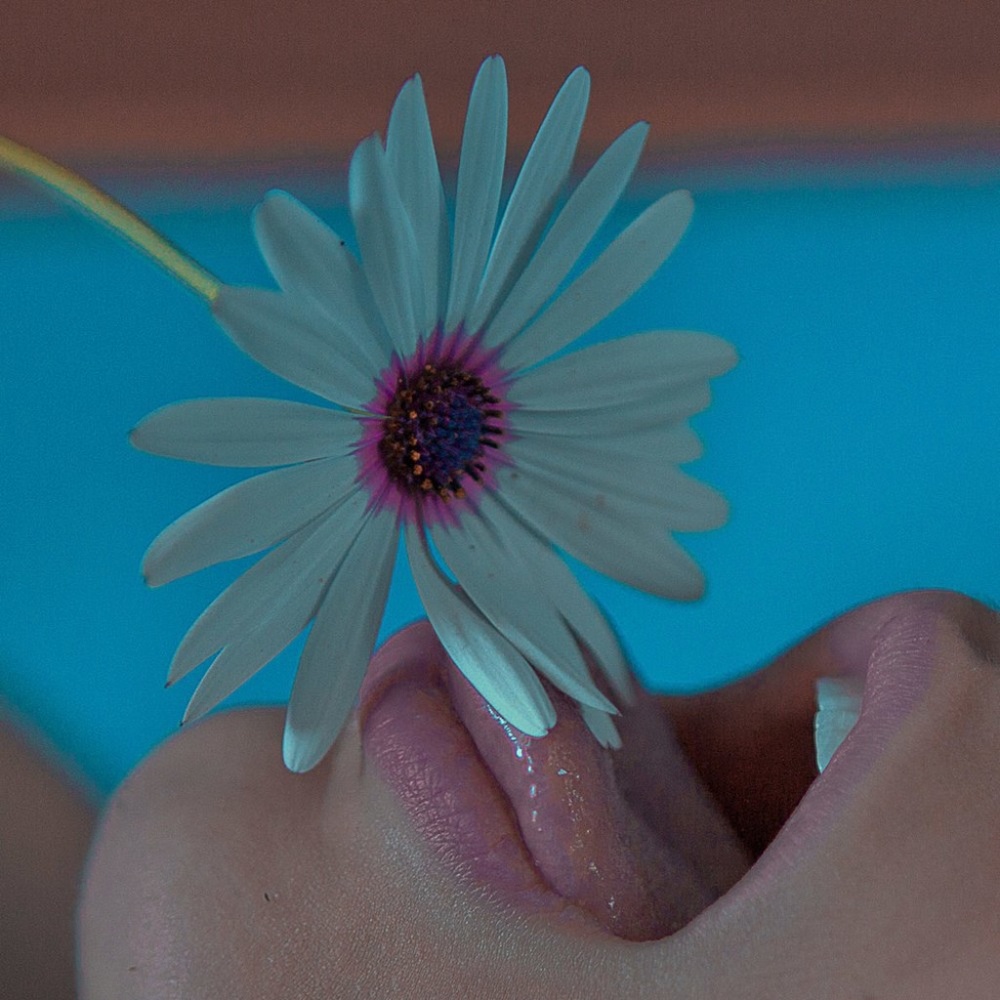 Sarah Bahbah - Summer Without A Pool